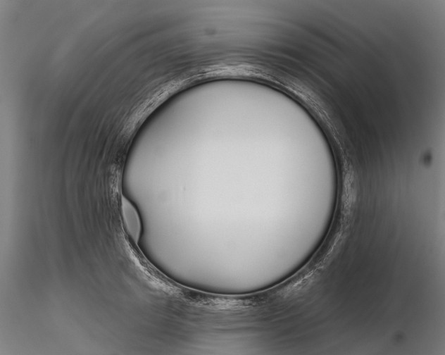 X0000115690849200912031441