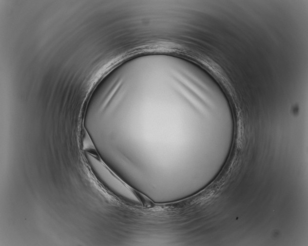 X0000115690850200912031441