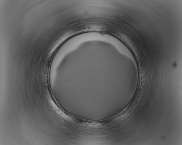 X0000115690851200912031441