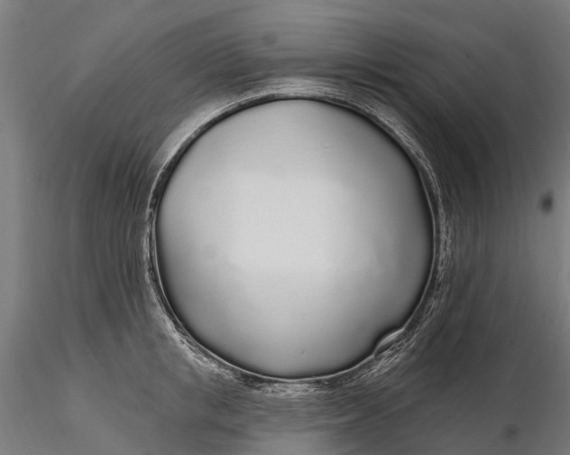 X0000115690853200912031441