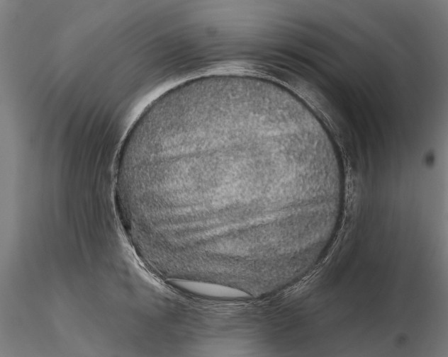 X0000115690854200912031441