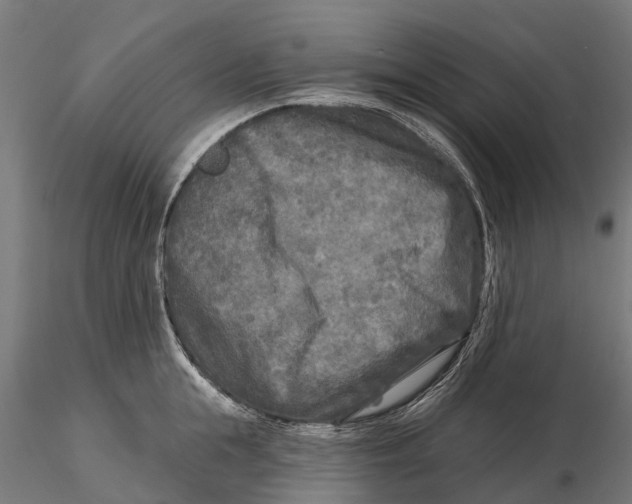 X0000115690855200912031441