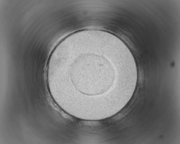 X0000115690856200912031441