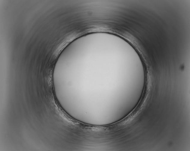 X0000115690857200912031441