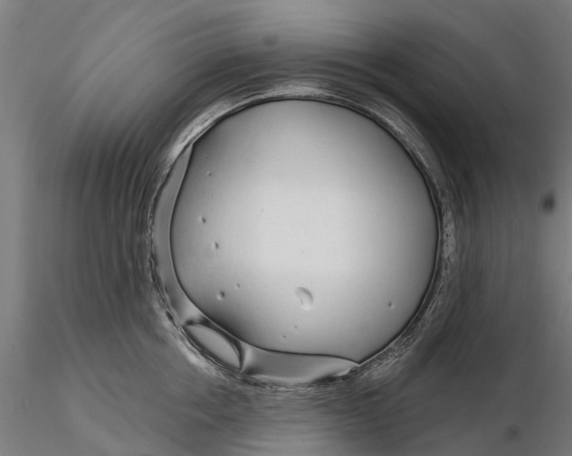 X0000115690858200912031441