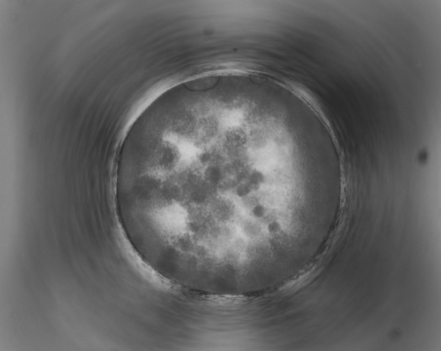 X0000115690859200912031441