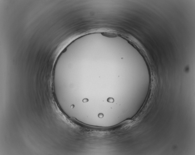 X0000115690860200912031441