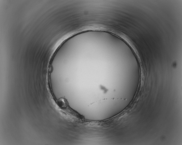 X0000115690861200912031441