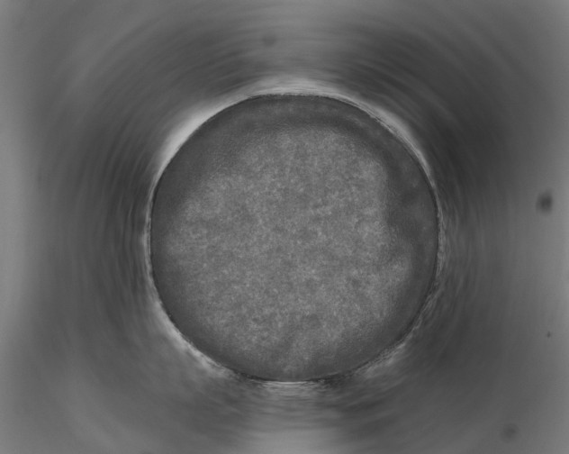 X0000115690863200912031441