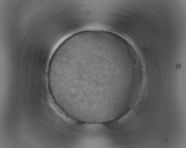 X0000115690864200912031441