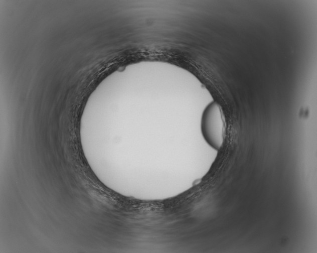 X0000115690865200912031440