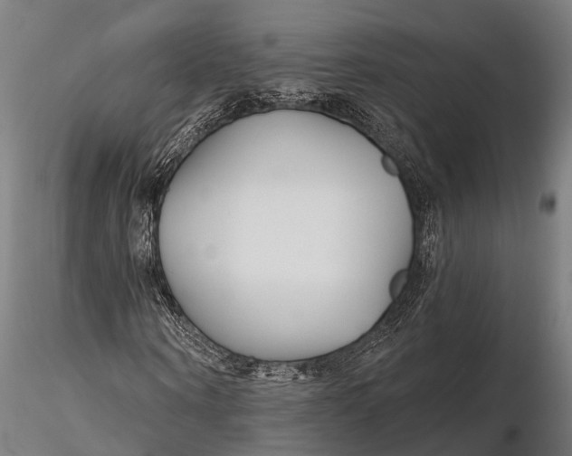 X0000115690866200912031440