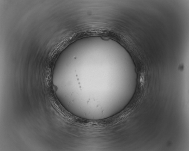 X0000115690867200912031440