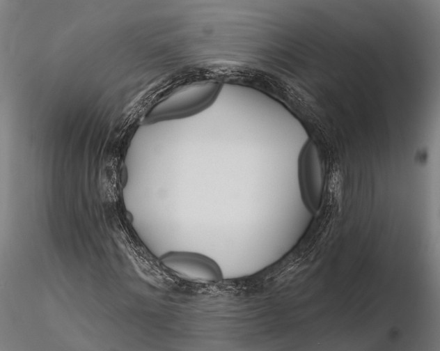 X0000115690868200912031440