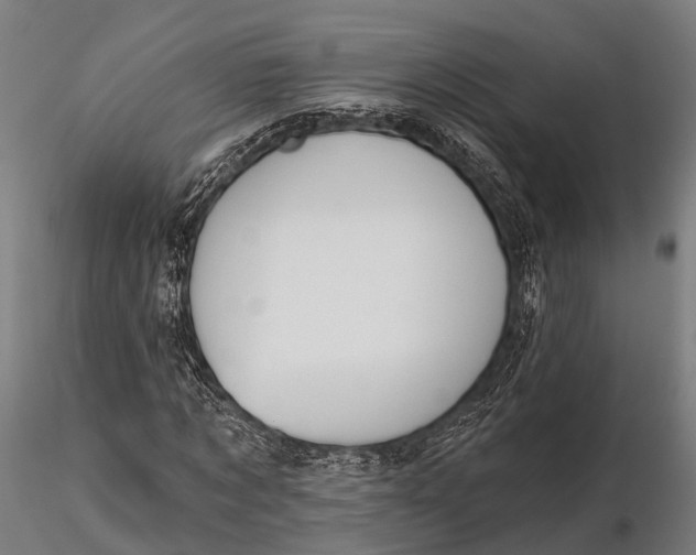 X0000115690869200912031440