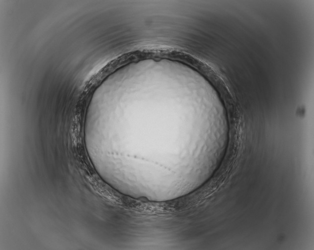 X0000115690871200912031440