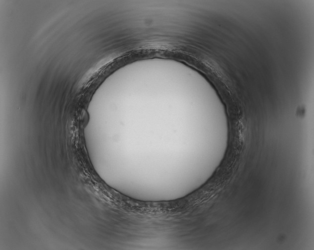 X0000115690872200912031440