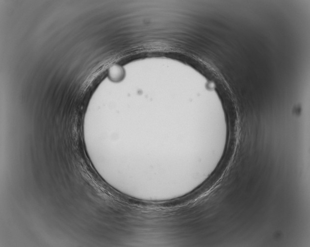 X0000115690873200912031440