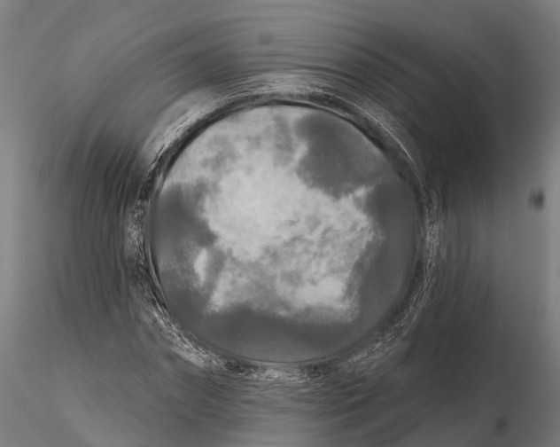 X0000115690874200912031440