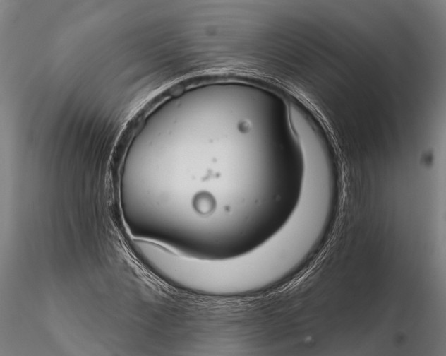 X0000115690876200912031440