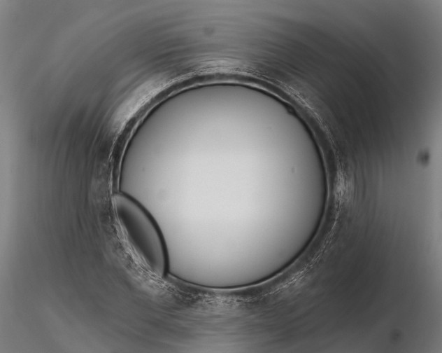 X0000115690877200912031440