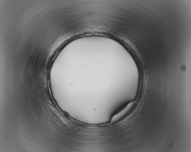 X0000115690878200912031440