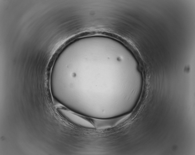 X0000115690879200912031440