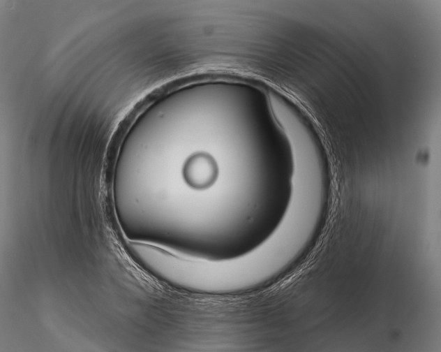 X0000115690880200912031440