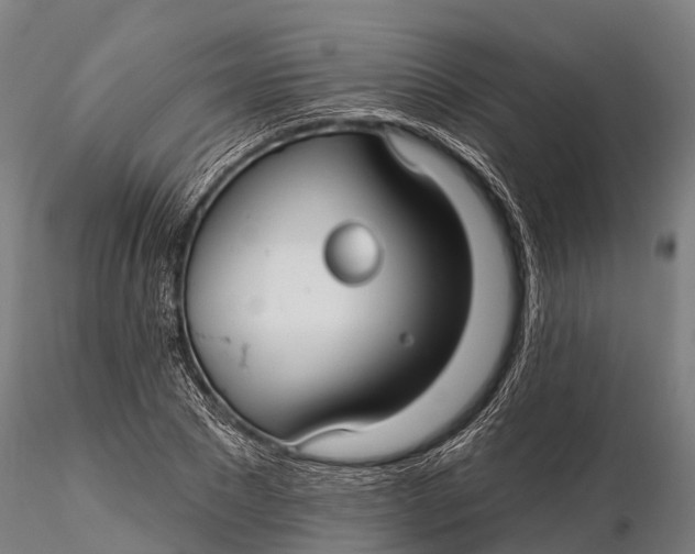 X0000115690881200912031440