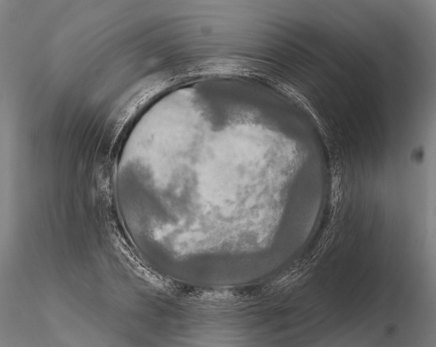 X0000115690882200912031440