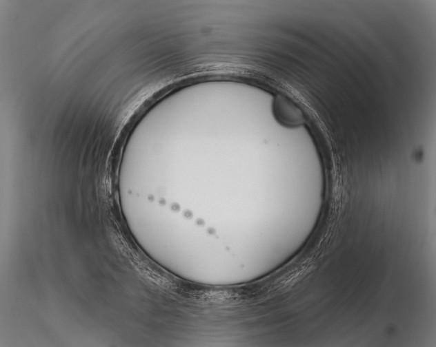 X0000115690883200912031440