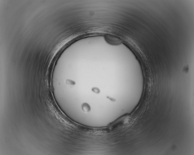 X0000115690884200912031440