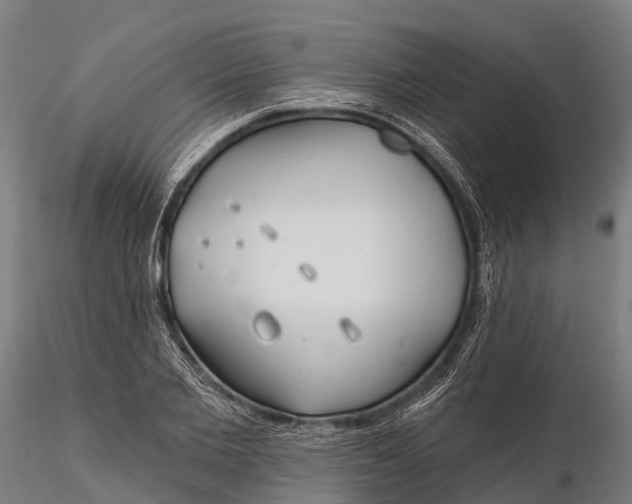 X0000115690885200912031440