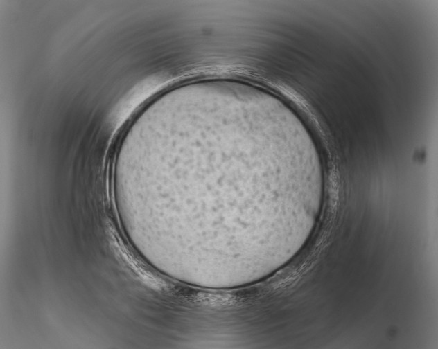 X0000115690886200912031440