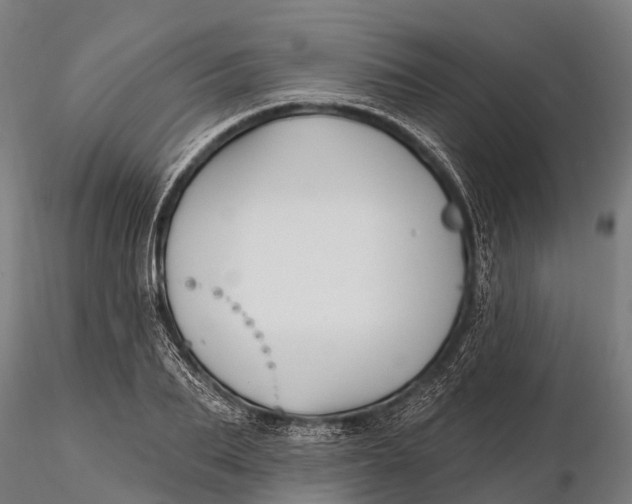 X0000115690887200912031440