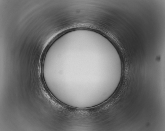 X0000115690888200912031440