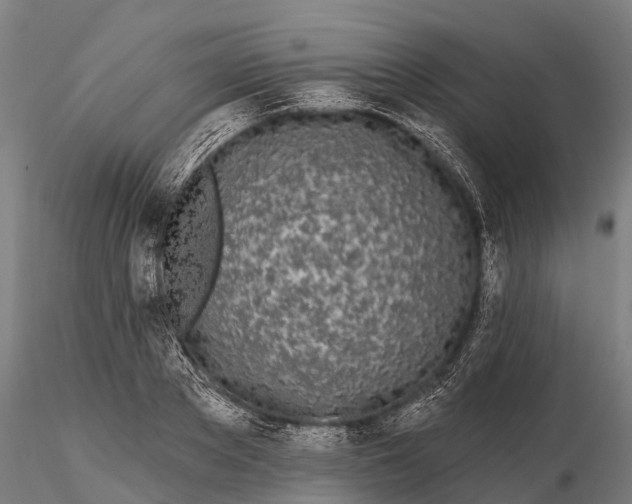 X0000115690889200912031440