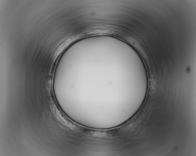 X0000115690890200912031440