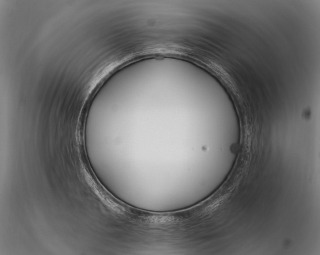 X0000115690893200912031440