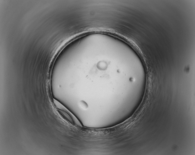 X0000115690895200912031440