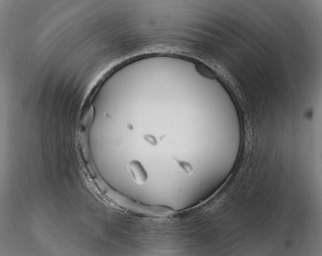 X0000115690896200912031440