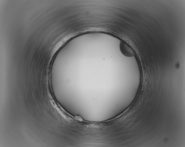 X0000115690898200912031440