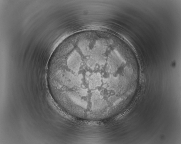 X0000115690899200912031440