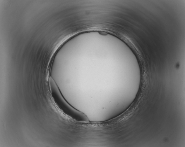 X0000115690900200912031440