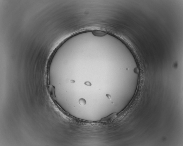 X0000115690902200912031440