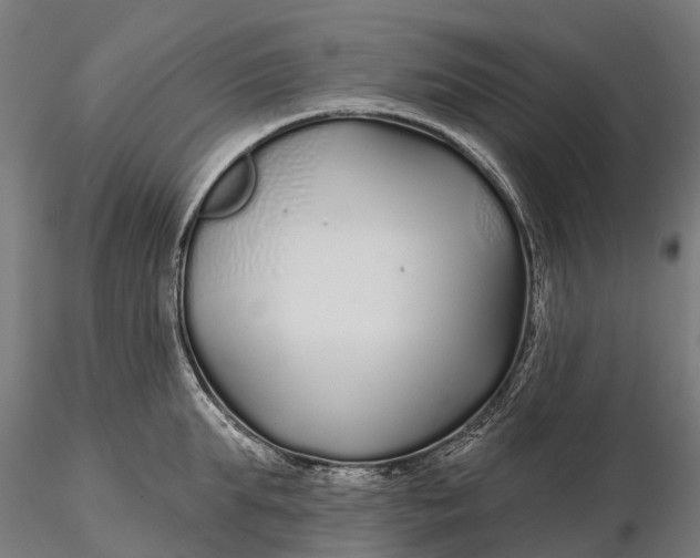 X0000115690903200912031440