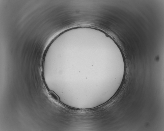 X0000115690904200912031440