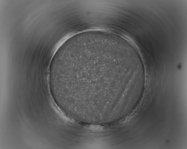 X0000115690907200912031440