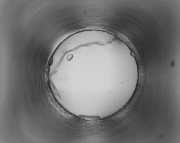 X0000115690908200912031439