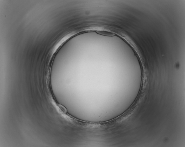 X0000115690909200912031439